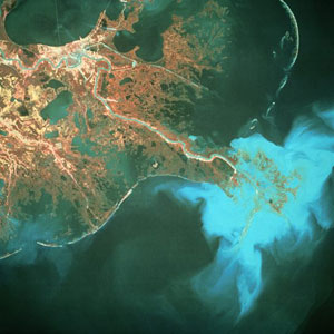 Human Impact on Coastal Marine Ecosystems 